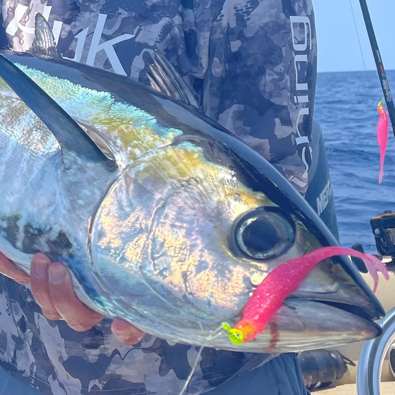 SEARIP FLUKE 5" in 10 catching colors
