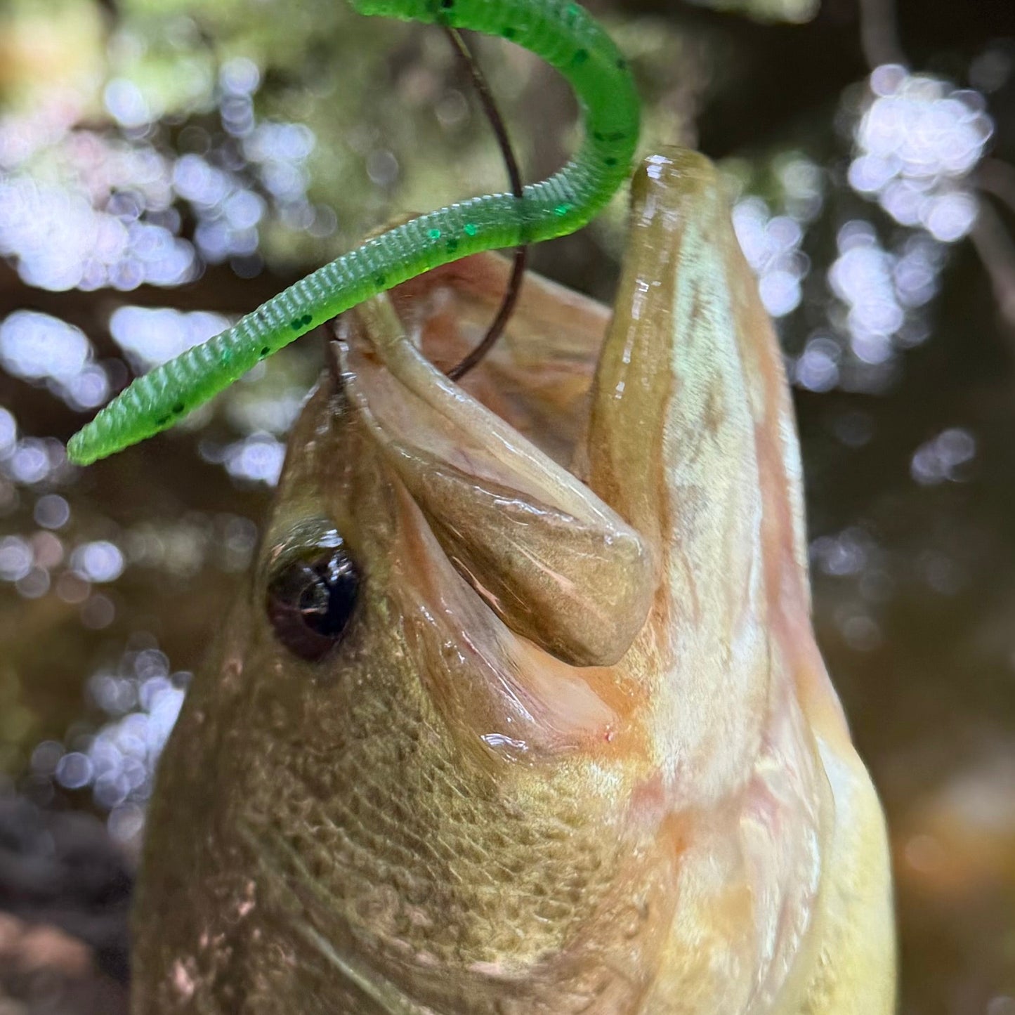 SEARIP FINESSE WORM 4”