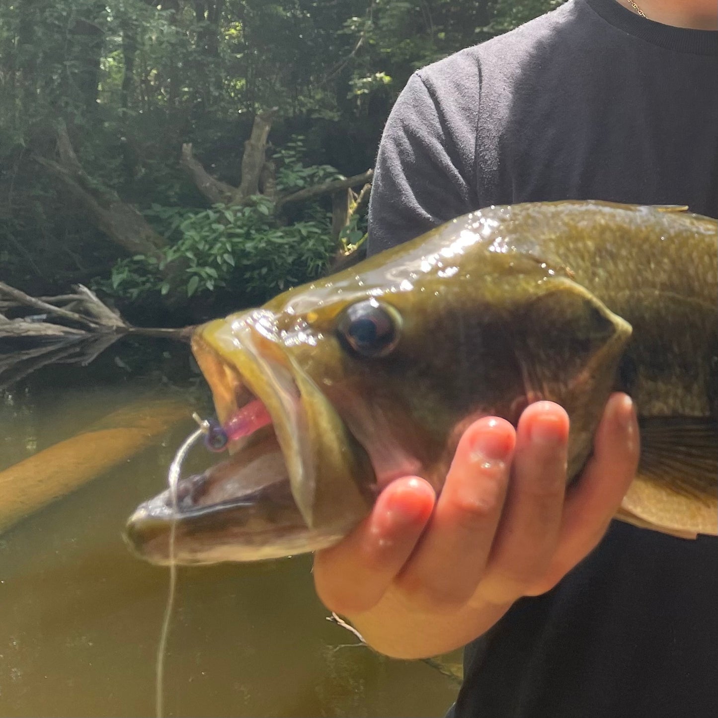 SEARIP FINESSE WORM 4” in 6 catching colors